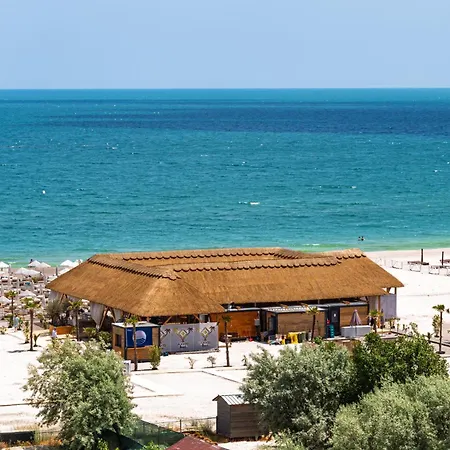 Palm In Axxis Nova Mamaia