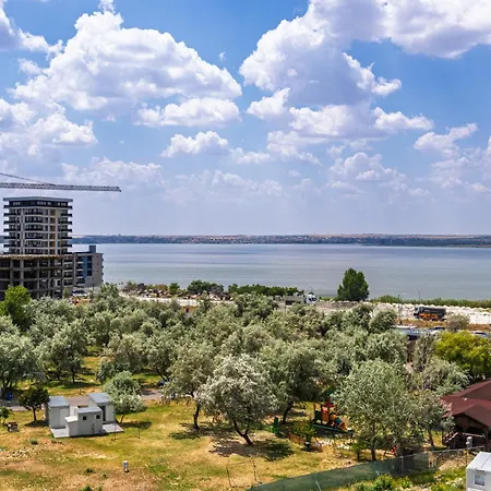 Palm In Axxis Nova *