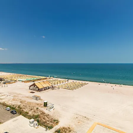 Palm In Axxis Nova Mamaia