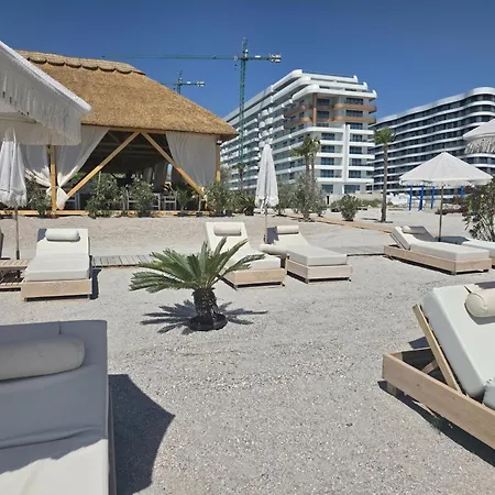 Palm In Axxis Nova * Mamaia