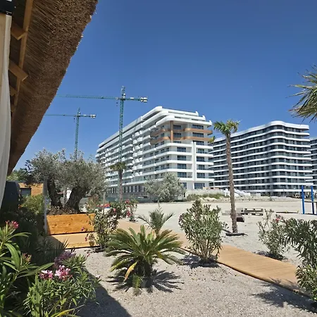 Palm In Axxis Nova * Mamaia