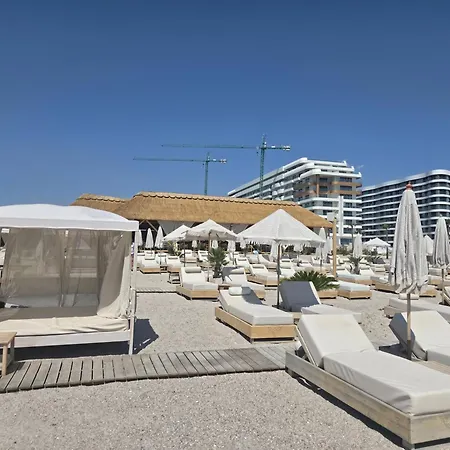 Palm In Axxis Nova *