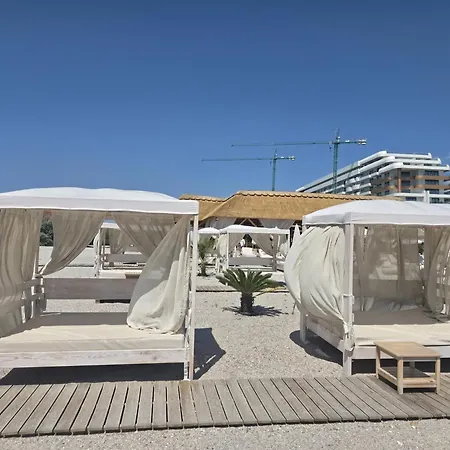 Palm In Axxis Nova *