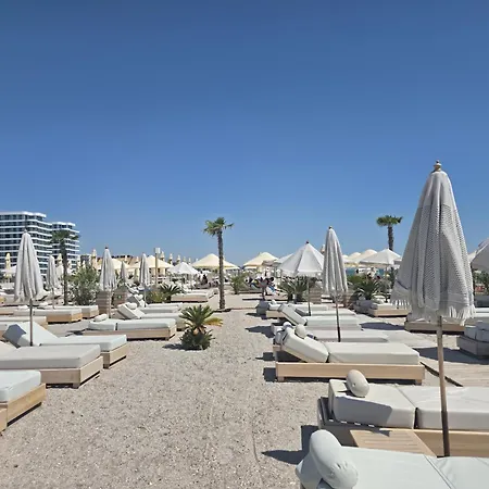 Palm In Axxis Nova Apartment