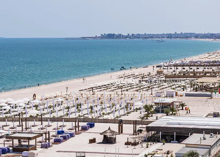 Palm In Axxis Nova 마마이아