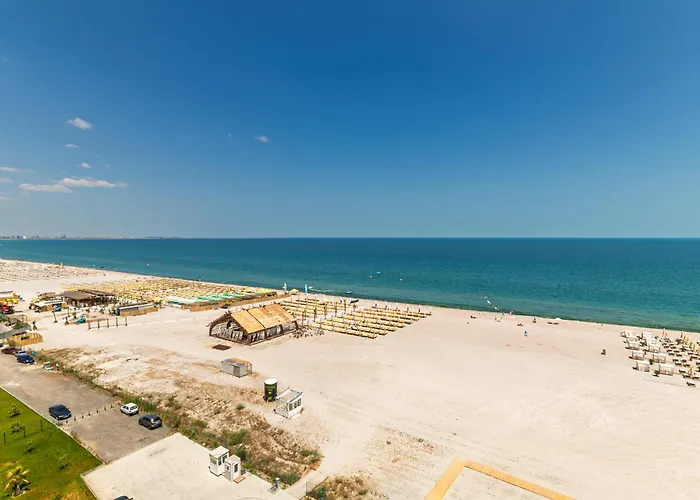 Palm In Axxis Nova 마마이아