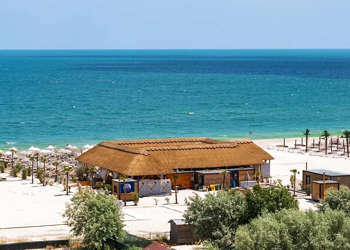 Palm In Axxis Nova 마마이아