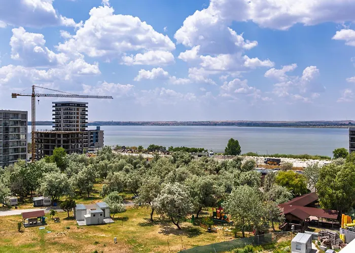 Palm In Axxis Nova *