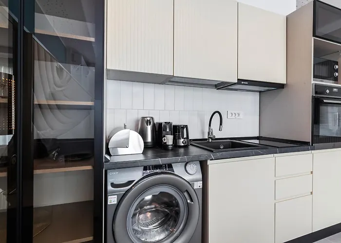 Palm In Axxis Nova Mamaia