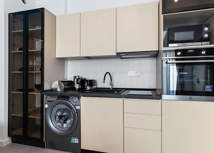 Palm In Axxis Nova *