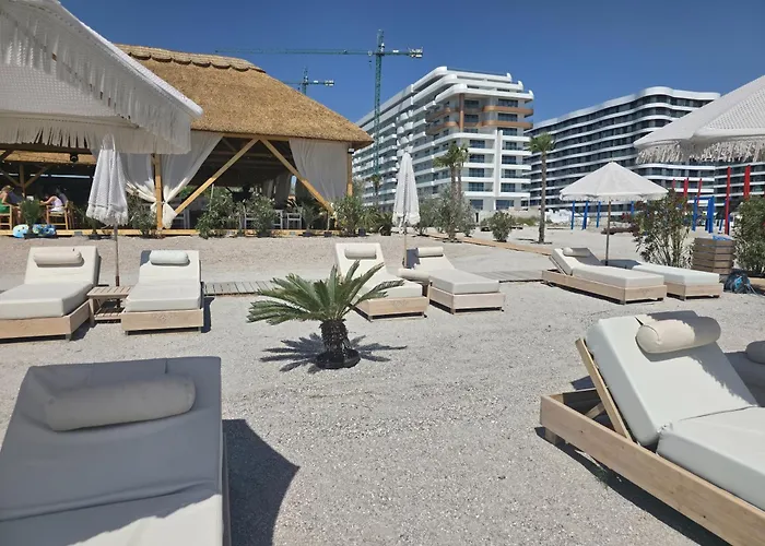 Palm In Axxis Nova * Mamaia