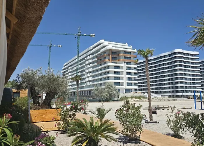 Palm In Axxis Nova * 마마이아