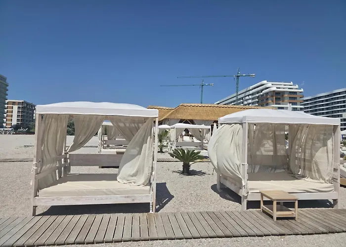 Palm In Axxis Nova *