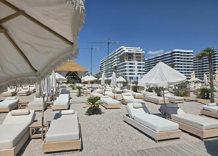 Palm In Axxis Nova * 마마이아